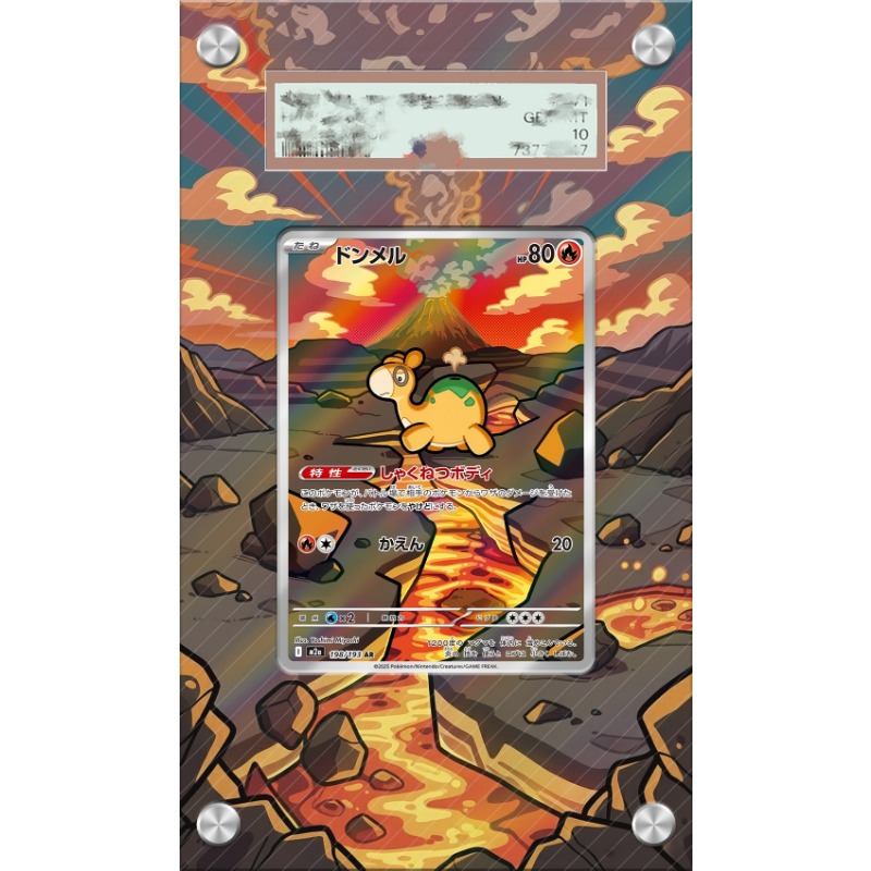 Art Display for Pokemon Numel  - Anime Merchandise From Japan review and price