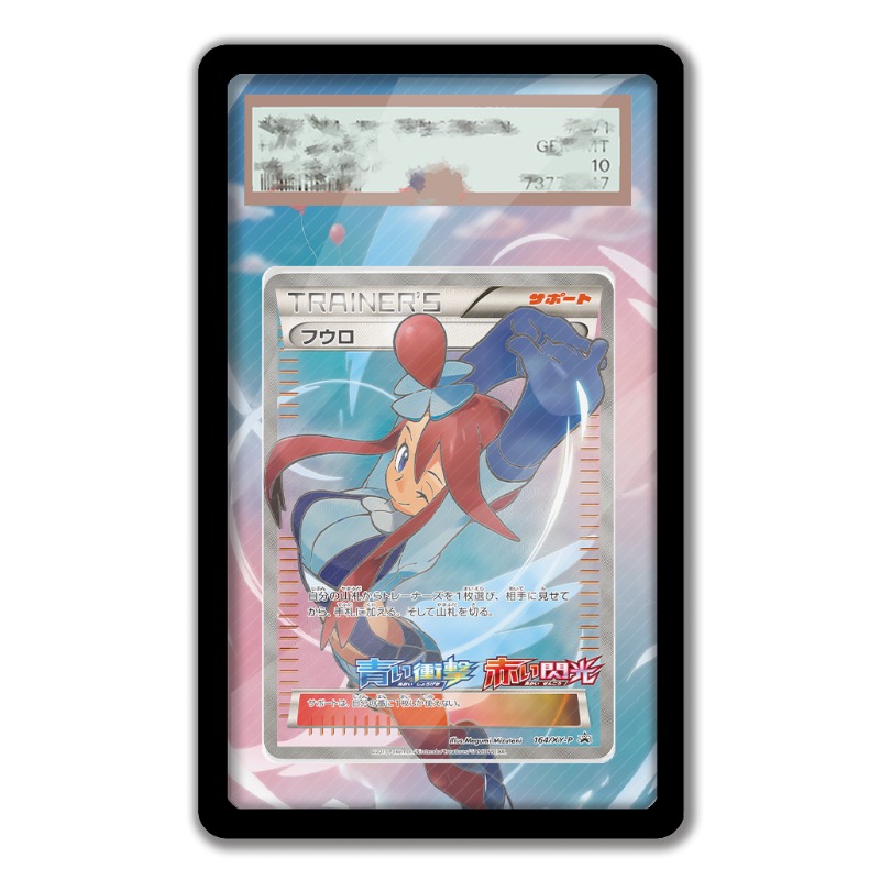 Art Display for Pokemon Skyla  - Anime Merchandise From Japan review and price