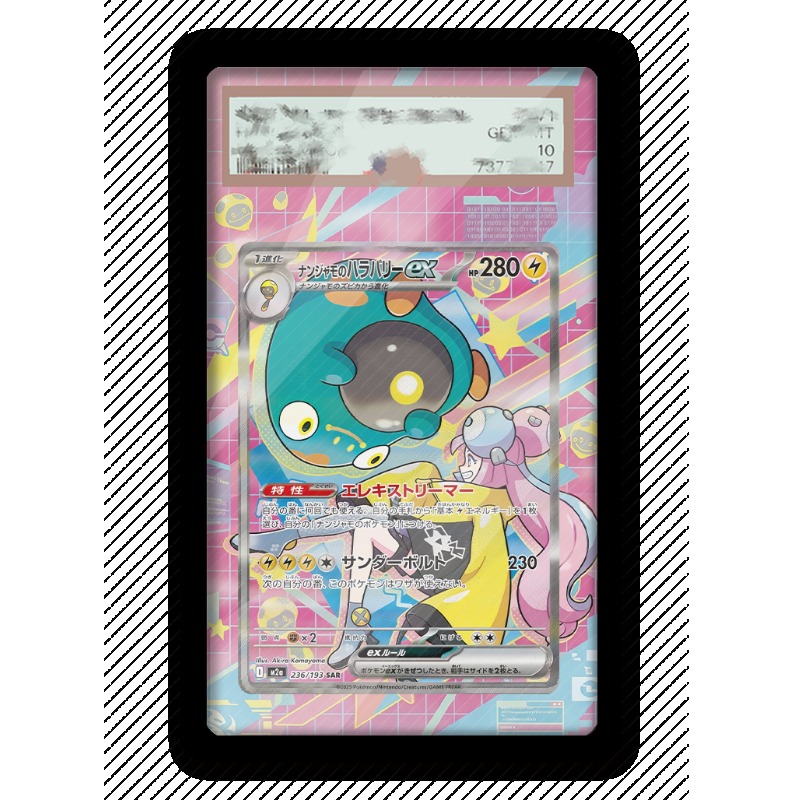 Art Display for Pokemon Bellib - Anime Merchandise From Japan review and price